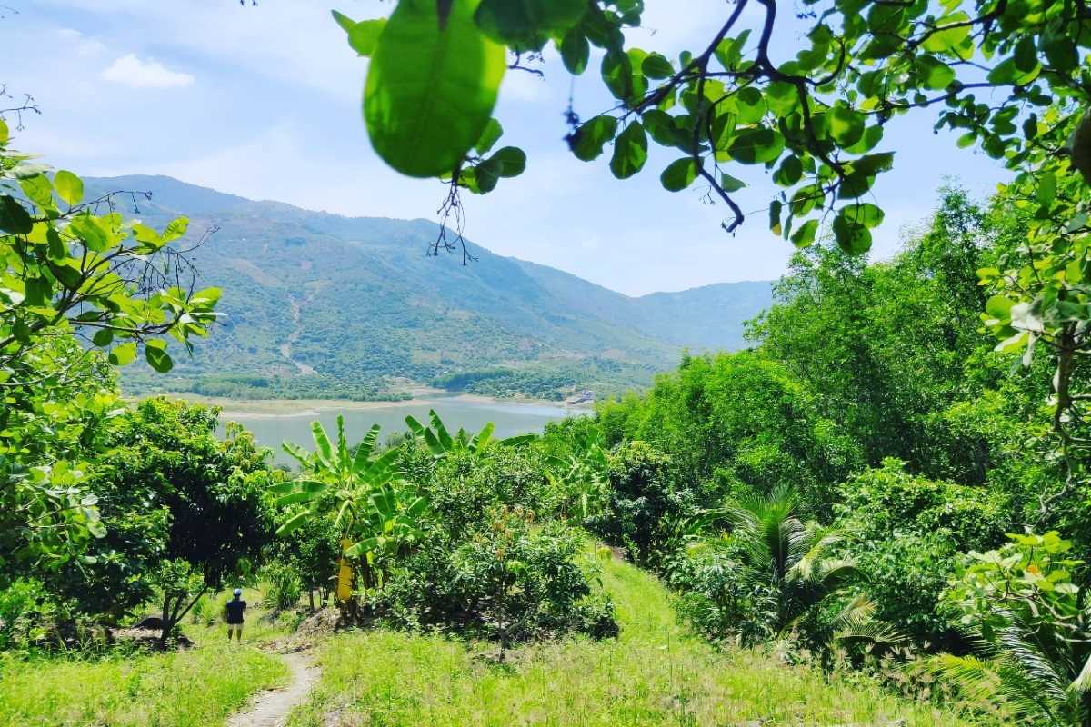Hiking Trail with Mountain View in Diên Điền A trail through dense greenery leading to a mountain view near Diên Điền, Nha Trang.