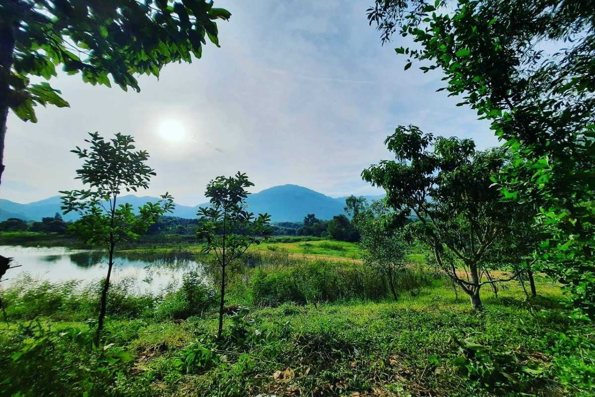 Peaceful Lakeside View in Diên Điền A quiet lake surrounded by grass and trees near the mountains in Diên Điền.
