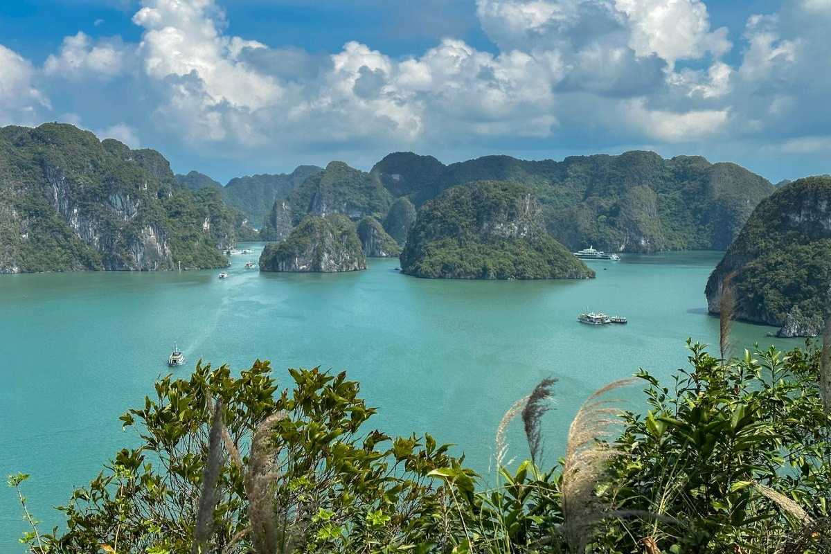 Dinh Huong Islet Halong Bay traditional wooden boats Traditional wooden boats near Dinh Huong Islet Halong Bay limestone formations
