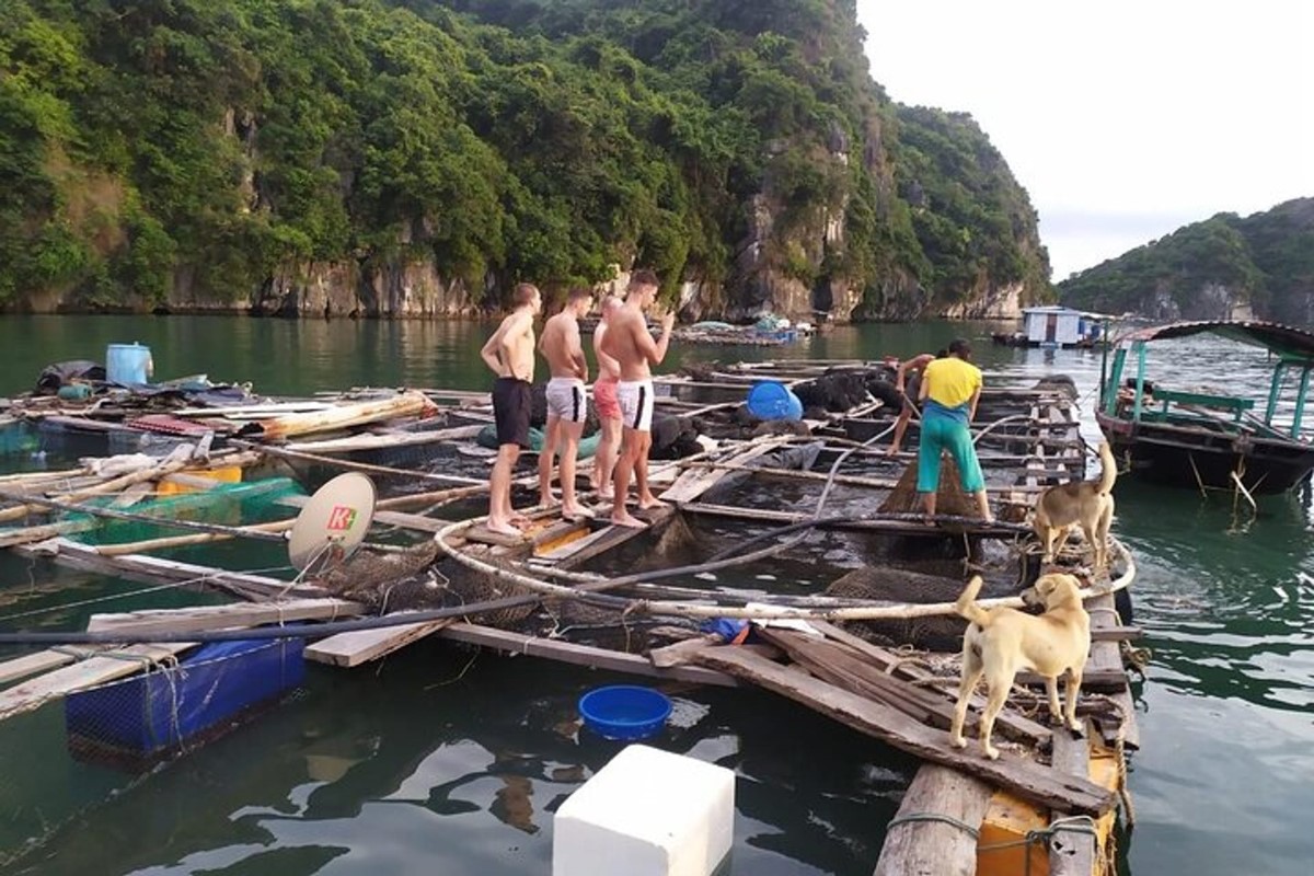 Tourists visiting the floating houses and fishing boats in Viet Hai’s traditional floating village