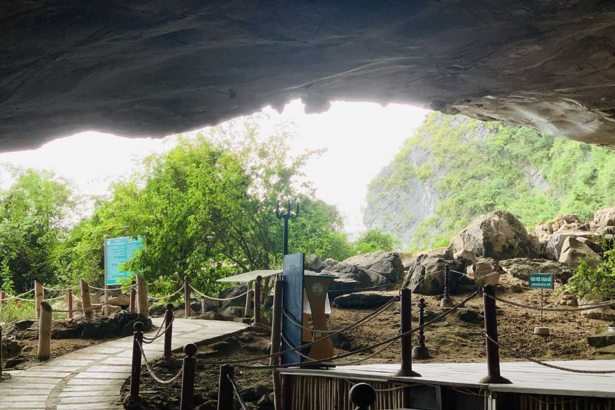 Drum Cave Halong Bay entrance with natural limestone formations View of the entrance at Drum Cave Halong Bay showcasing limestone formations and the pathway leading inside.