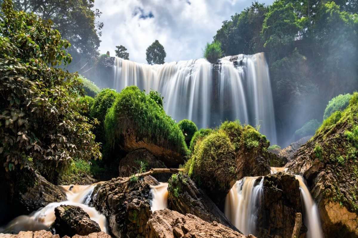 Elephant Waterfall with Vibrant Greenery Elephant Waterfall surrounded by lush greenery and vibrant plants in Da Lat, Vietnam.