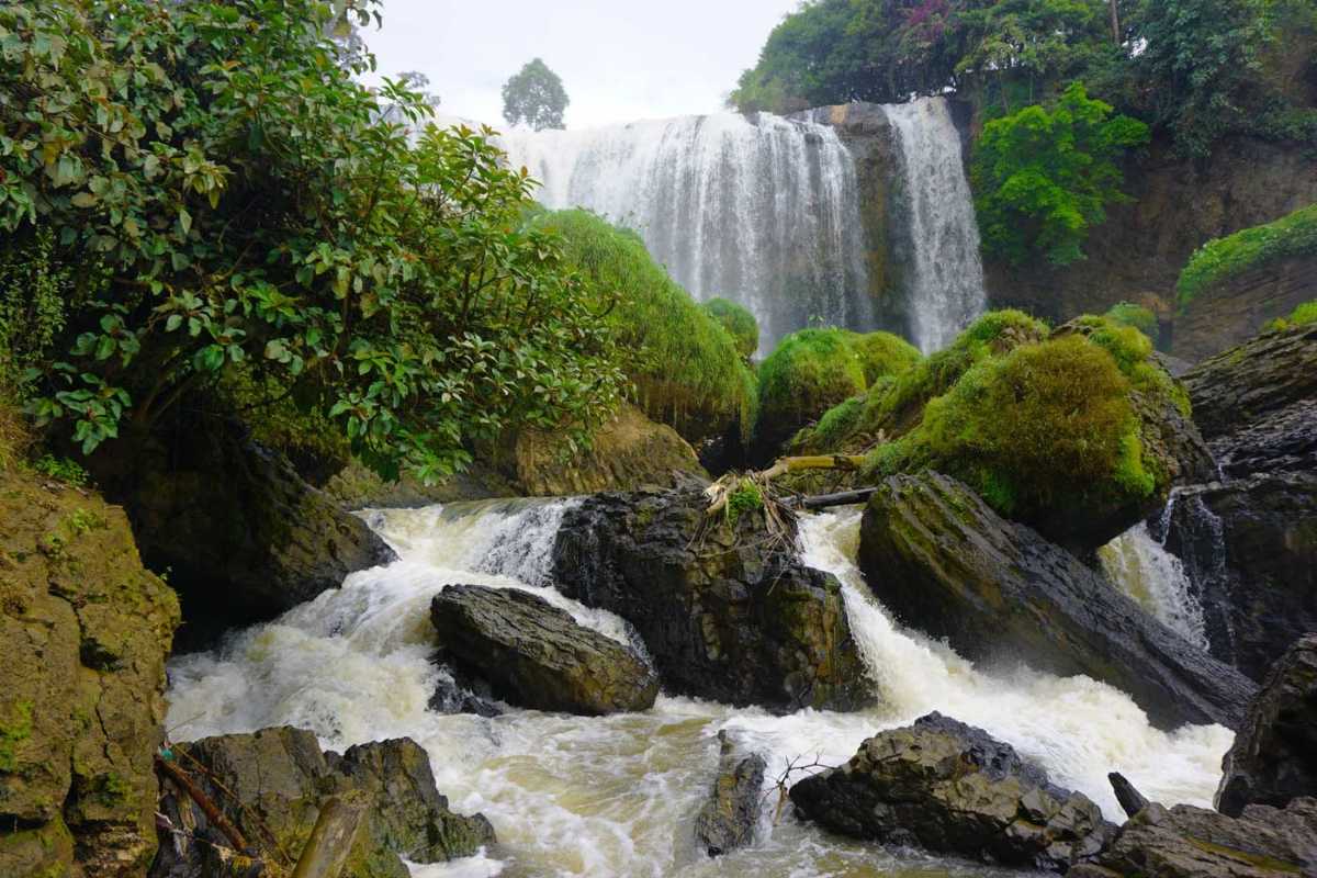 Elephant Waterfall Da Lat forest and flowing water Elephant Waterfall Da Lat surrounded by dense forest with water rushing through mossy rocks below the cascade