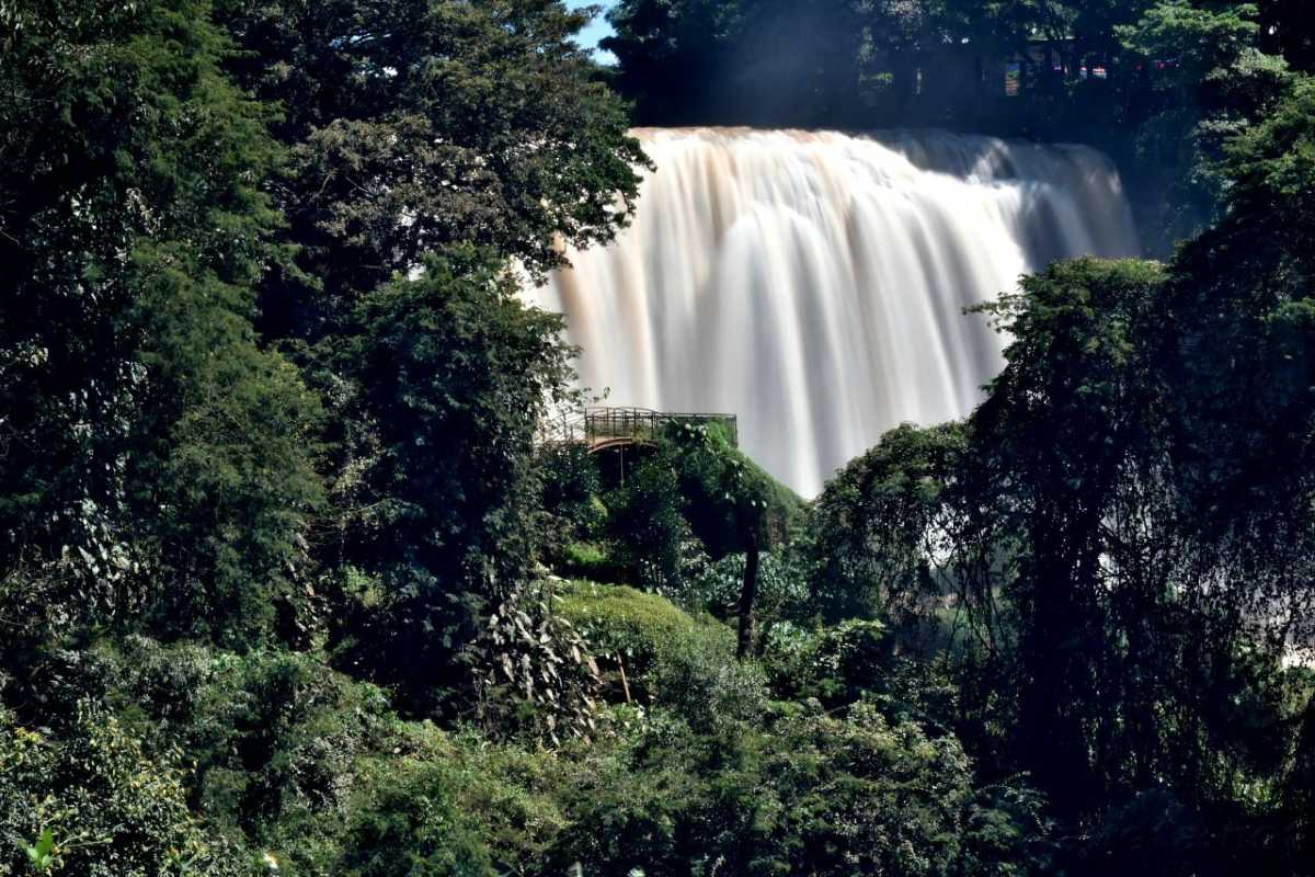 Elephant Waterfall Da Lat misty jungle scenery Mist rising around Elephant Waterfall Da Lat surrounded by dense jungle vegetation and moss-covered rocks