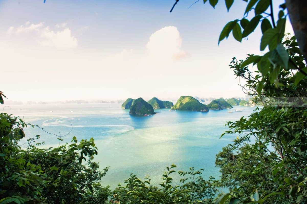 Elevated View Overlooking Halong Bay from Soi Sim Island Elevated viewpoint showing panoramic Halong Bay landscape from Soi Sim Island