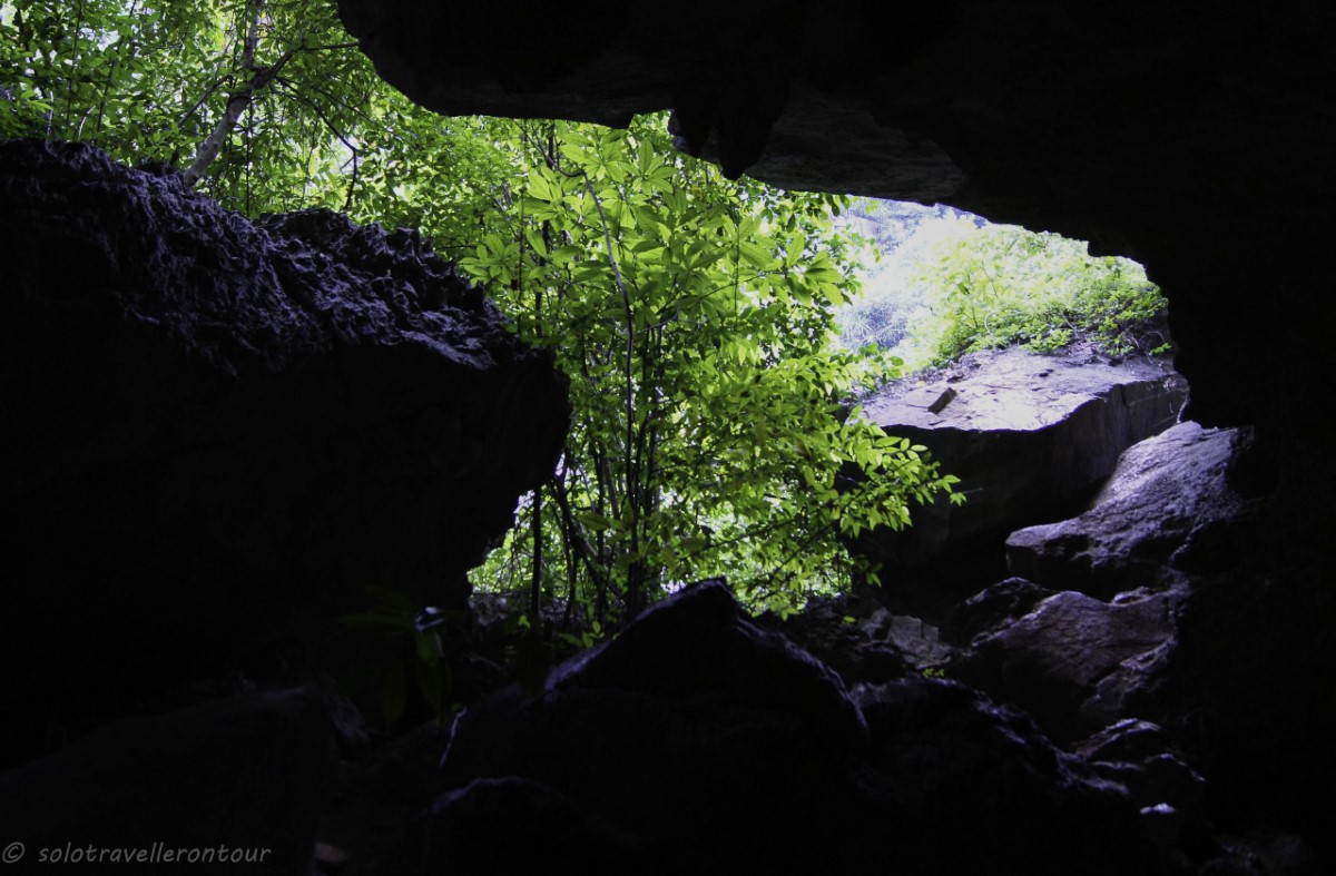 Entrance of Ho Dong Tien (Fairy Lake) Cave with verdant foliage, showcasing lush greenery and a view outside from the cave.