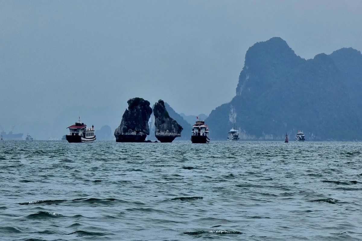Fighting Cocks Islet Halong Bay busy tour boats Tour boats passing by Fighting Cocks Islet Halong Bay with limestone cliffs in the background