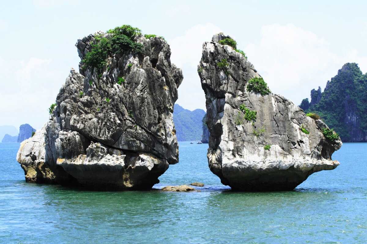 Fighting Cocks Islet Halong Bay iconic twin rocks landmark Iconic twin limestone rocks of Fighting Cocks Islet Halong Bay standing in emerald water