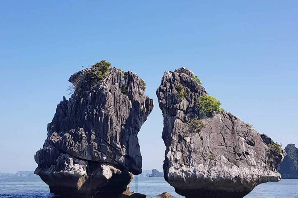 Fighting Cocks Islet Halong Bay limestone formations close-up Close-up view of Fighting Cocks Islet Halong Bay limestone formations with greenery on top