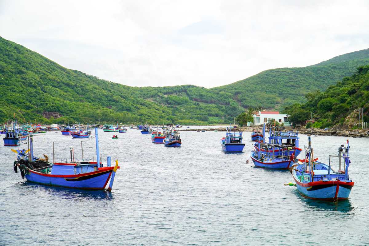Colorful fishing boats anchored in the harbor of Ninh Thuy Fishing Village with lush green hills in the background