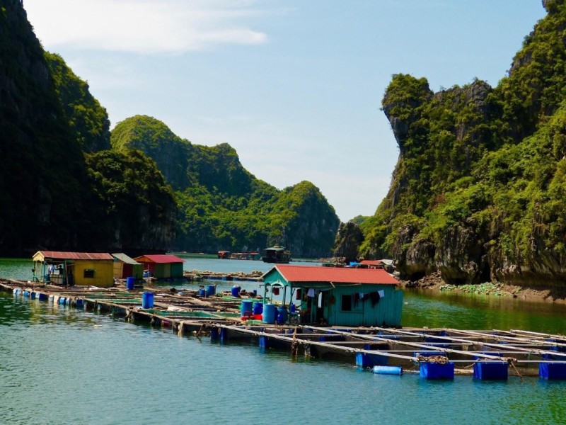 Floating structures at Tung Sau Pearl Farm in Halong Bay, where oysters are cultivated for pearls.