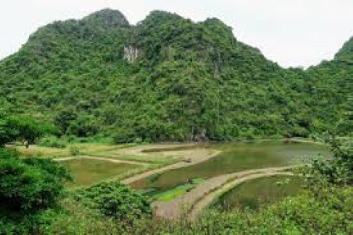 A view of Frog Pond in Cat Ba Island surrounded by lush mountains and greenery.