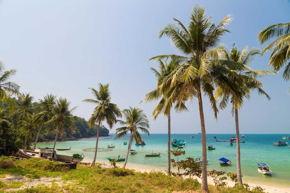 Ganh Dau Cape Beach and Palm Trees Palm trees frame the beach at Ganh Dau Cape, with turquoise waters lapping at the shore.