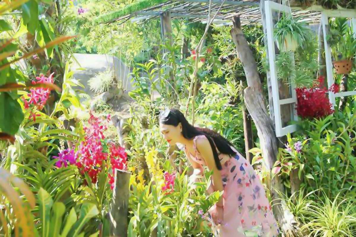 Panoramic View of Hoa Lan Stream Orchid Island Nha Trang Countryside Panoramic view of the countryside and waterways at Hoa Lan Stream Orchid Island Nha Trang.