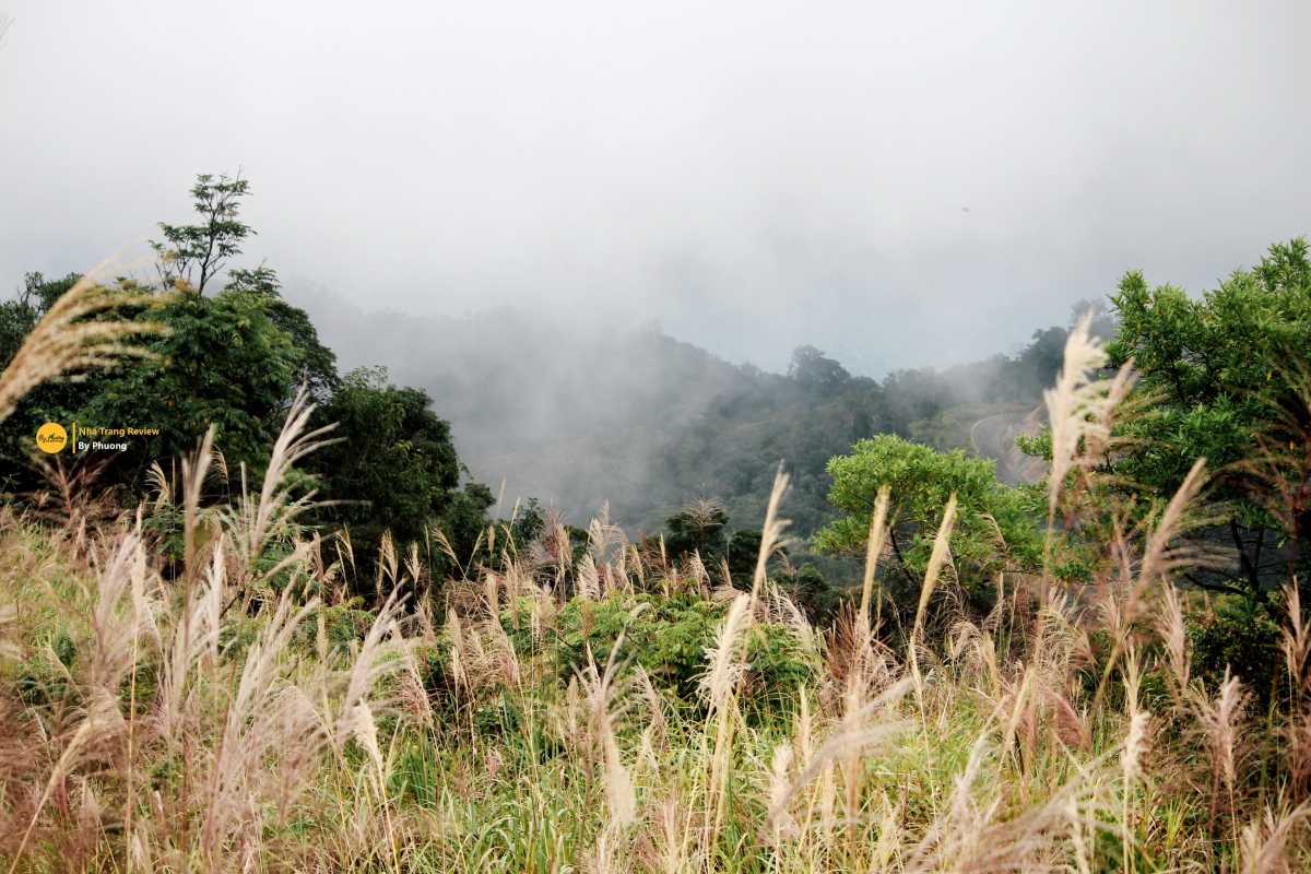 Traditional Mountain Cabin Surrounded by Greenery in Hon Ba Rustic wooden cabin nestled among trees in Hon Ba Nature Reserve Cam Lam