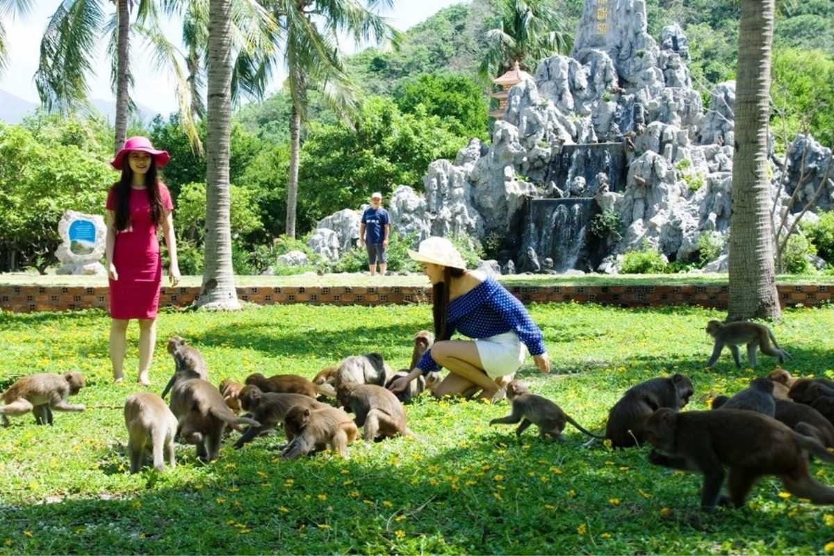 Hon Lao Island Monkeys Visitors interacting with wild monkeys in the natural habitat on Hon Lao Island, Nha Trang