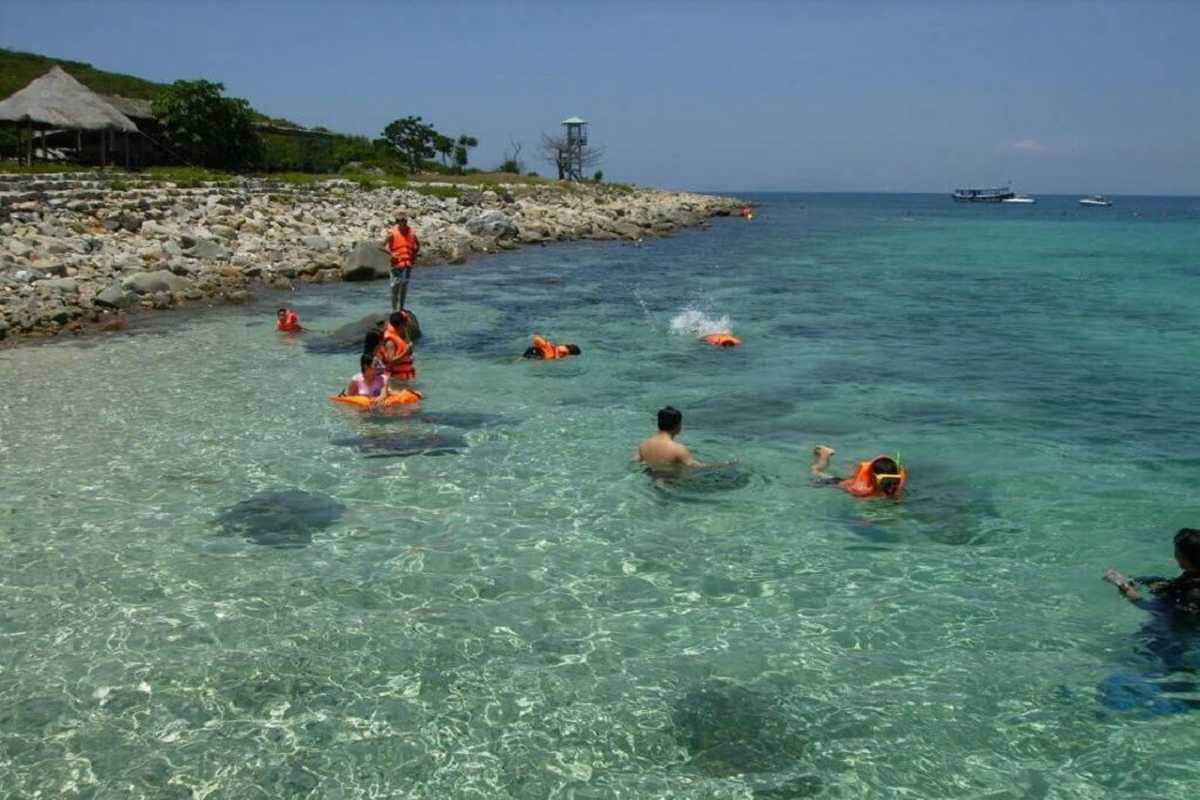 Hon Mieu Island snorkeling lessons and guided tours Snorkeling lessons and guided tours offered at Hon Mieu Island, ensuring a safe and educational experience for visitors.