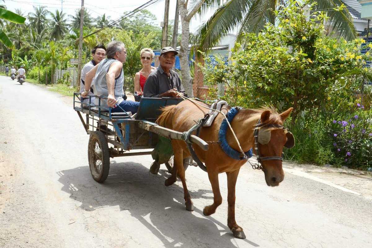 Horse cart tour in rural Phu Vinh Tourists enjoy a countryside ride on a horse-drawn cart in Phu Vinh Ancient Village