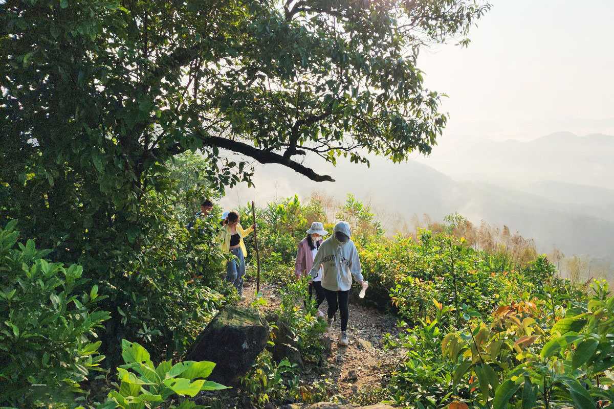 Huyen Khong Son Thuong Pagoda Hue nature trail with visitors hiking Huyen Khong Son Thuong Pagoda Hue features a scenic nature trail with visitors hiking among green foliage and gentle morning light