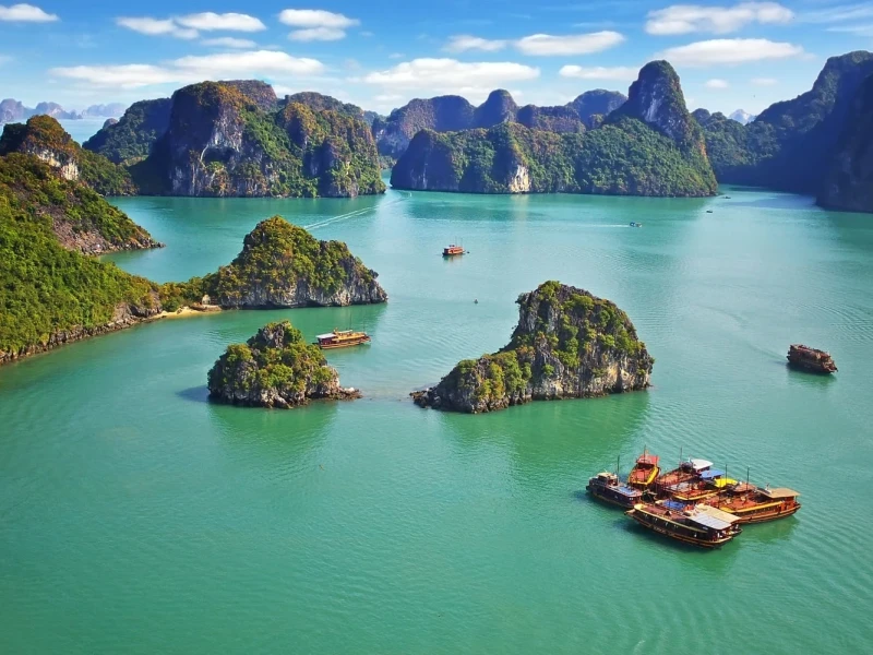 Khám Phá Đảo Bồ Hòn, Vịnh Hạ Long Hình ảnh du thuyền sang trọng đi qua vùng nước xanh tại Đảo Bồ Hòn, Vịnh Hạ Long.