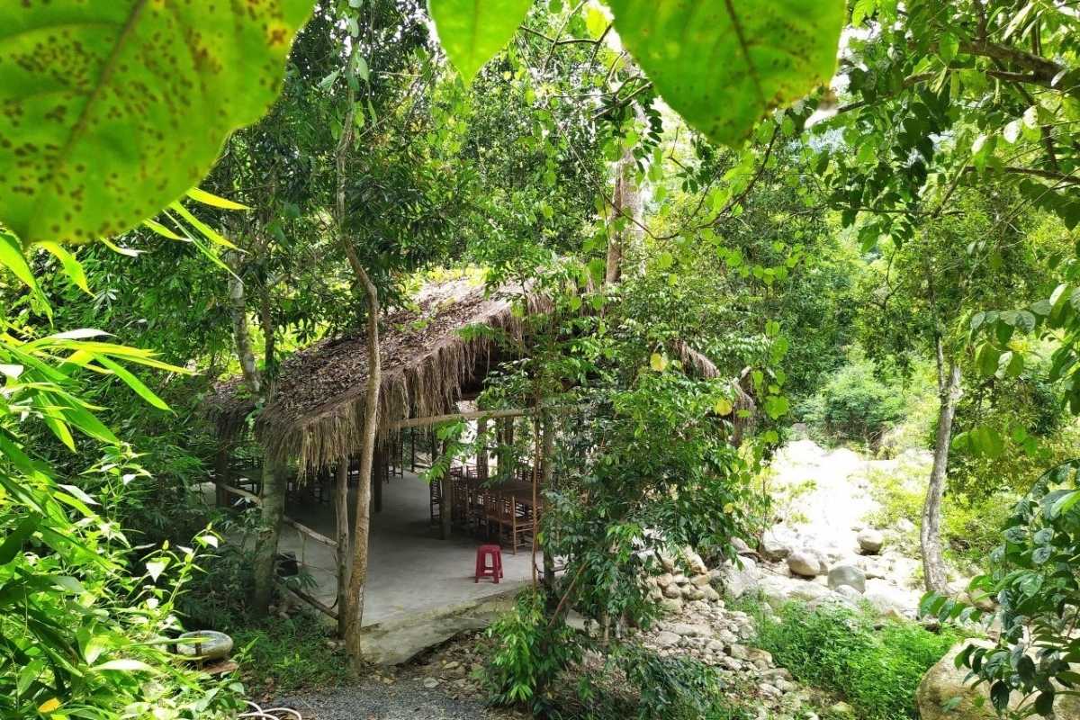 Kong Forest Outdoor Picnic and Rest Area Thatched outdoor picnic shelter surrounded by lush greenery in Kong Forest at Hon Ba Nature Reserve