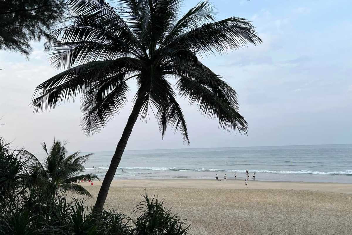 Lang Co Beach Hue palm trees and peaceful sunset coastline Lang Co Beach Hue features palm trees silhouetted against a calm beach and pastel sunset sky, offering a tranquil tropical setting.