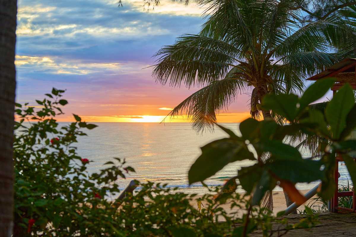 Lang Co Beach Hue sunset framed by palm tree and foliage Lang Co Beach Hue displays a colorful sunset over calm sea, framed by a palm tree and vibrant tropical plants along the sandy beach.