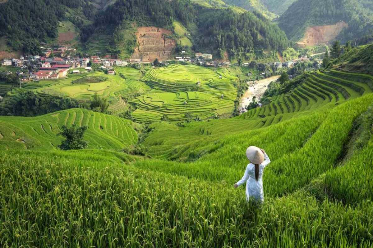 Lao Chai Village Sapa lush fields and village panorama Lao Chai Village Sapa panoramic view of lush rice fields with local village and mountains in the background