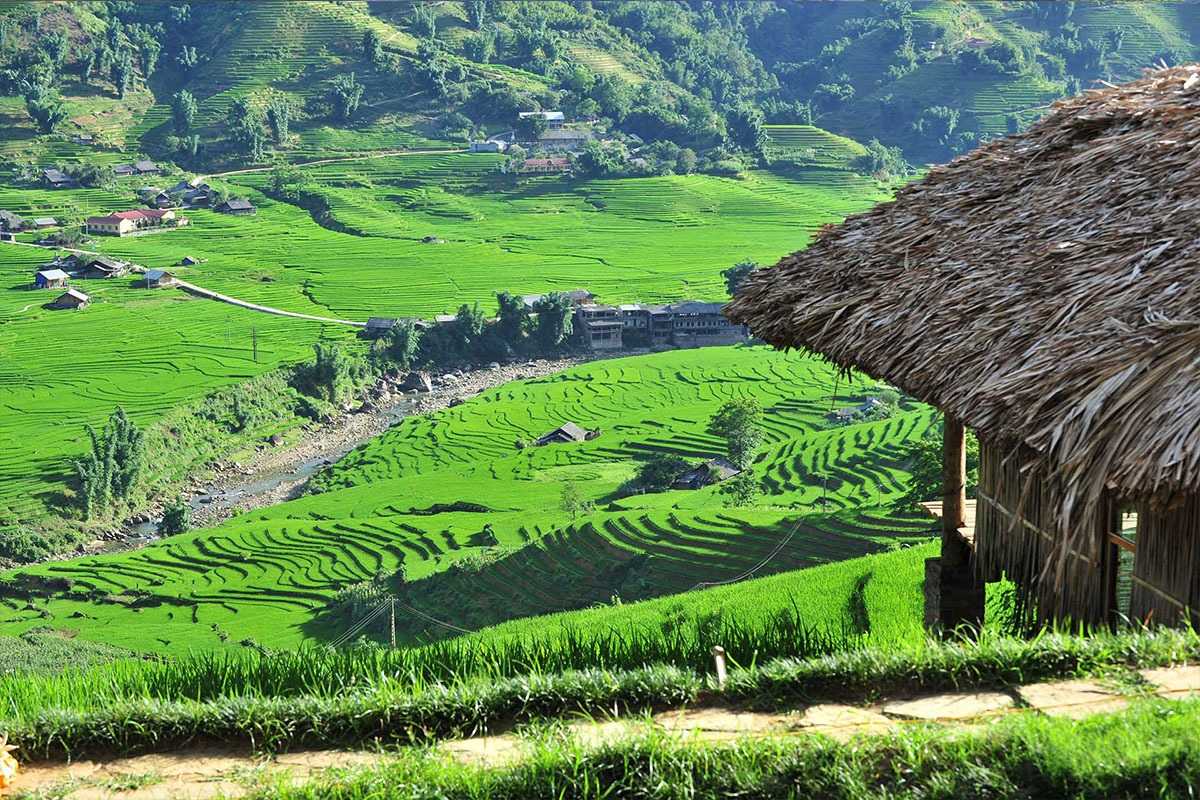 Lao Chai Village Sapa thatched hut overlooking rice terraces Lao Chai Village Sapa thatched hut perched above expansive green rice terraces and meandering river