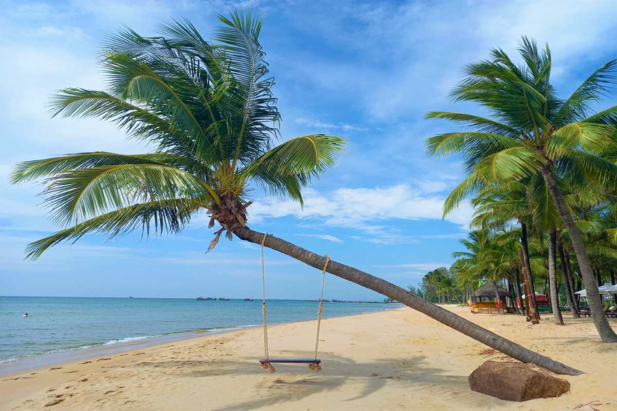 Long Beach (Bãi Dài) Phu Quoc - Palm Tree Swing View A palm tree leaning over the sandy shore with a swing on Long Beach