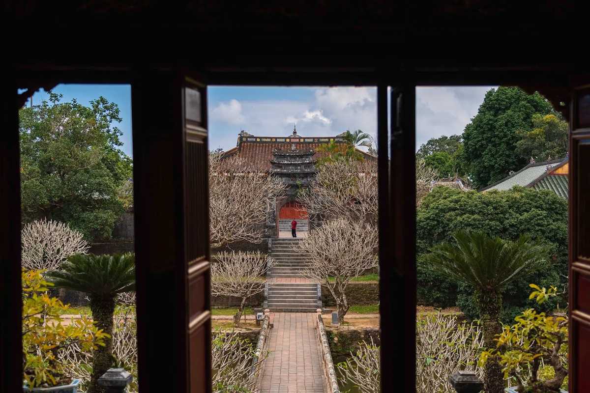 Imperial Pathway and Statues at Minh Mang Tomb Shaded imperial pathway lined with stone guardian statues at Minh Mang Tomb Hue, bordered by towering trees and lush gardens.