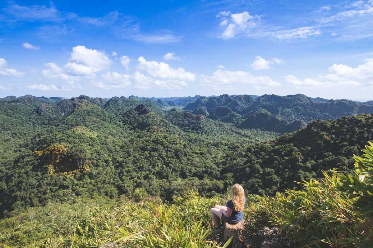 Panoramic Forest Landscape on Monkey Island Cat Ba Panoramic view of dense tropical forest and limestone hills on Monkey Island Cat Ba
