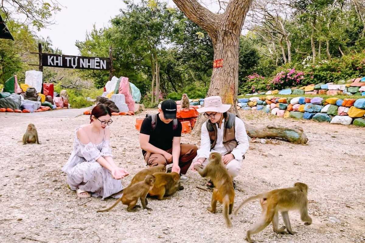 Travelers feeding monkeys at Monkey Island Nha Trang Visitors kneel and feed friendly monkeys in a designated interaction area at Monkey Island Nha Trang.