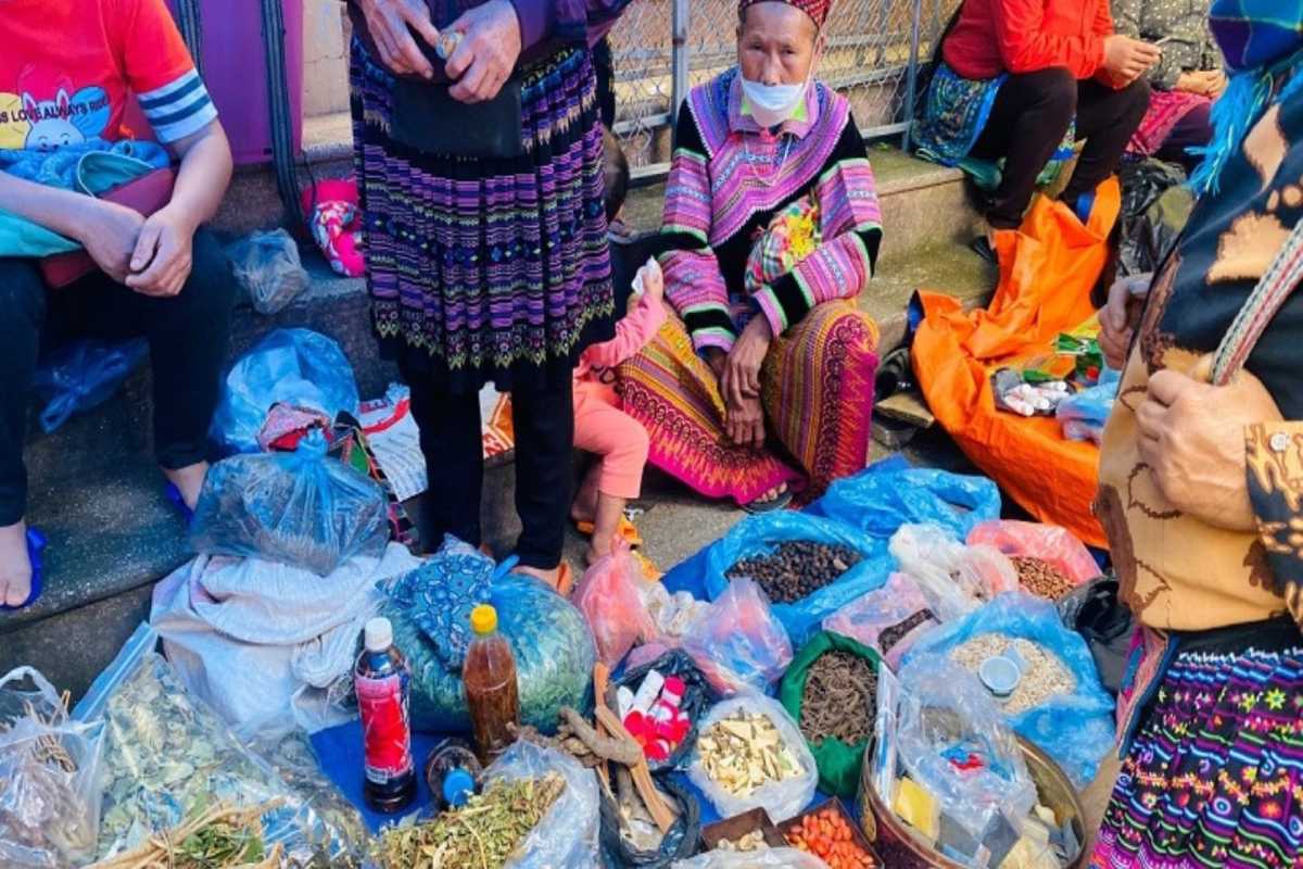 Muong Hum Market Sapa herbal medicine and mountain goods Muong Hum Market Sapa offers a variety of herbal medicines, spices, and traditional mountain goods from ethnic sellers.