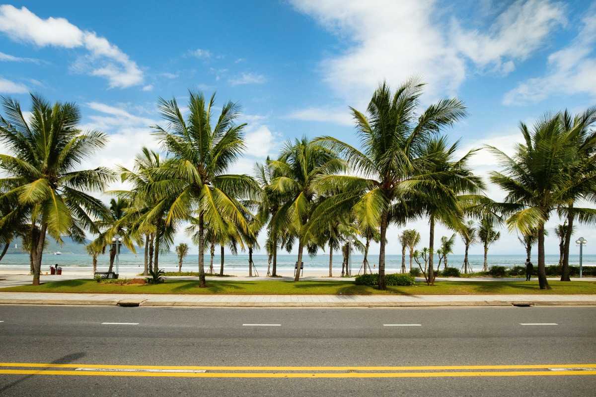 Non Nuoc Beach Da Nang palm-lined road and coastal promenade Non Nuoc Beach Da Nang road is lined with palm trees and green grass, providing easy access to the sandy beach.