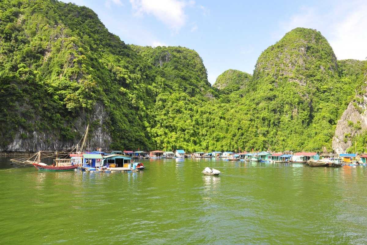 Peaceful Bay with Floating Village Houses in Cong Dam Tranquil bay area with floating houses and lush cliffs in Cong Dam Fishing Village