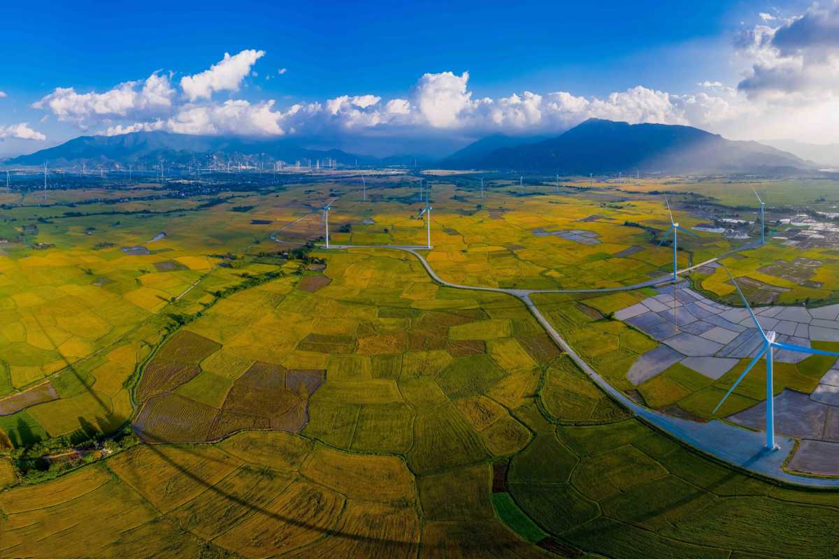 Wind Farm and Fields in Phan Rang Thap Cham Wind turbines over golden fields near Phan Rang–Tháp Chàm City in Ninh Thuan