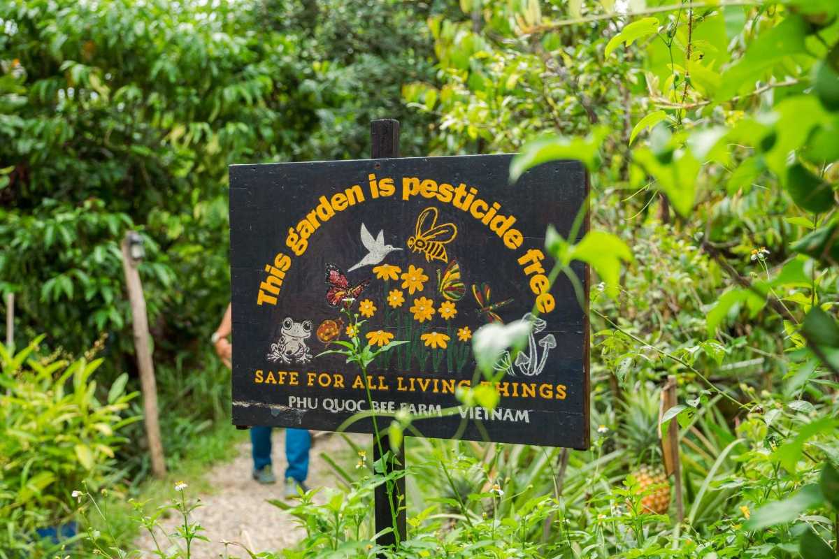 Bee-friendly garden at Phu Quoc Bee Farm Signage highlighting bee-friendly habitat in garden supporting pollinators at Phu Quoc Bee Farm