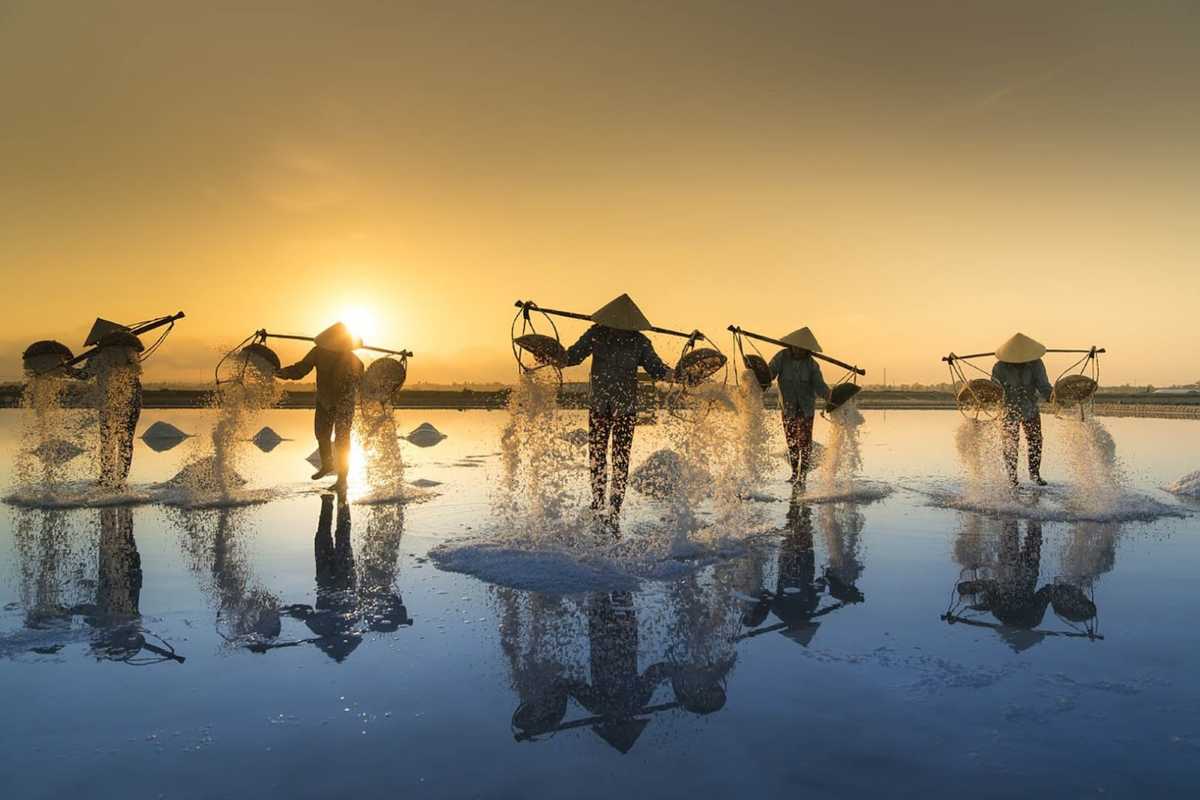 Salt Harvesting Ceremony at Phuong Cuu Salt Field Salt farmers performing traditional harvest activities in unison at Phuong Cuu Salt Field