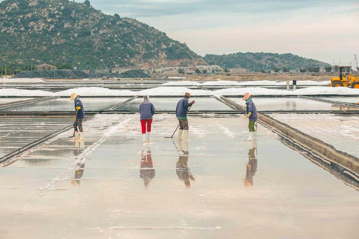Salt Harvesting with Mountains in Background at Phuong Cuu Workers harvesting salt with scenic mountains behind at Phuong Cuu Salt Field