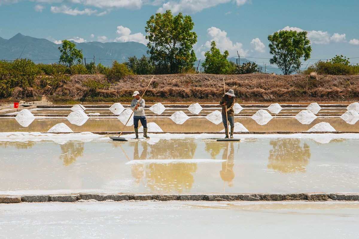 Traditional Salt Gathering at Phuong Cuu Salt Field Two workers gathering salt manually on evaporation pond at Phuong Cuu Salt Field