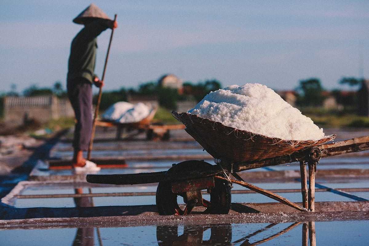 Salt Harvesting Wheelbarrow at Phuong Cuu Salt Field Close-up of a wheelbarrow full of freshly harvested salt at Phuong Cuu Salt Field