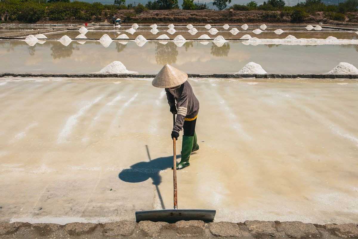 Salt Workers Harvesting at Phuong Cuu Salt Field Group of salt farmers working on evaporation ponds at Phuong Cuu Salt Field