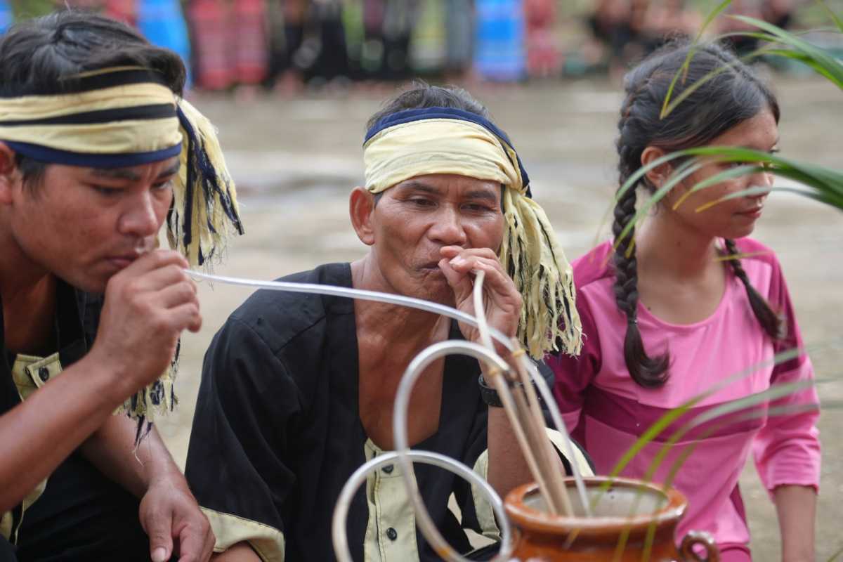 Raglai ethnic festival drink ceremony Raglai men and women share a communal rice wine ceremony using bamboo straws