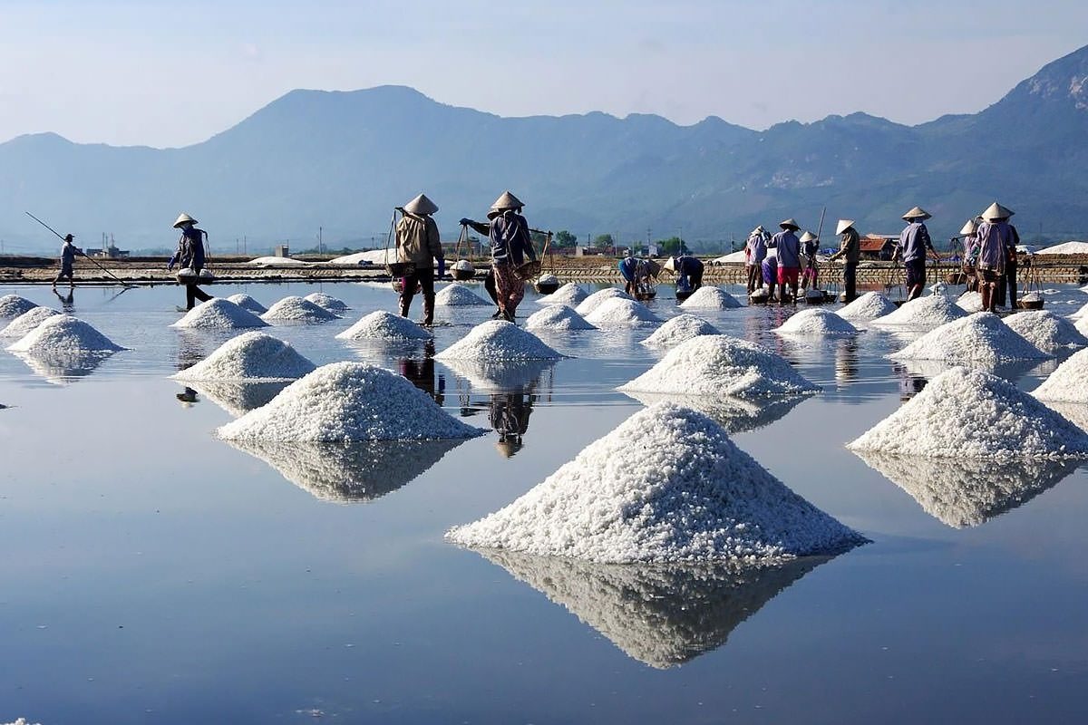Reflective Salt Fields and Workers in Hon Khoi Commune Salt fields reflecting sky and workers in conical hats carrying salt baskets at Hon Khoi Commune