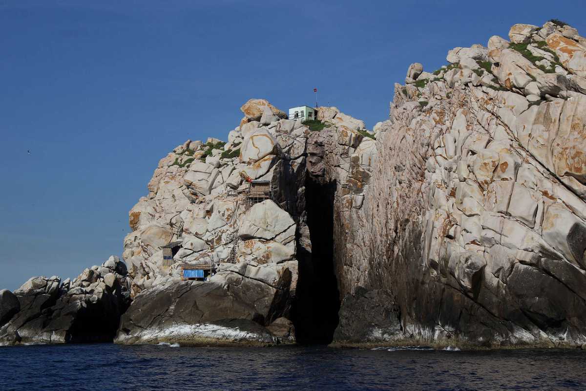 Salanganes Birds Nesting on Rocky Outcrops at Hon Noi Island Salanganes birds nesting on rocky outcrops near the Ancestor Temple of Salanganes on Hon Noi Island