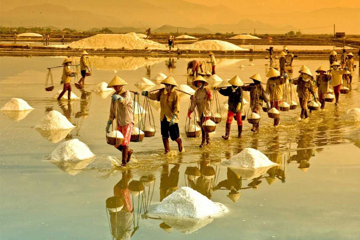 Workers Pouring Salt at Hon Khoi Salt Fields Group of salt farmers pouring harvested salt from baskets at Hon Khoi Salt Fields, Nha Trang.