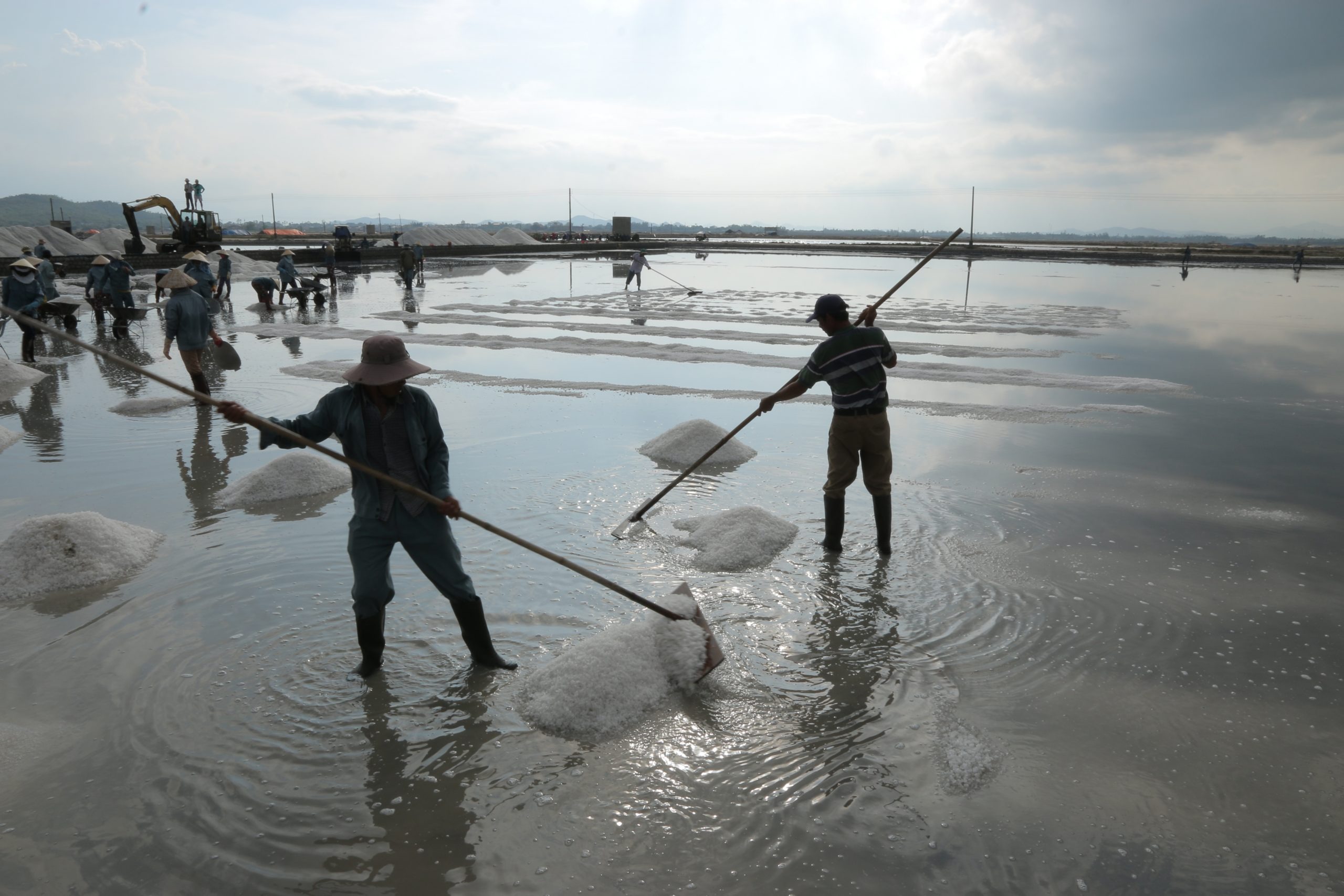 Salt Farmers Working in Hon Khoi Commune Group of salt farmers raking salt piles in shallow waters of Hon Khoi Commune salt fields