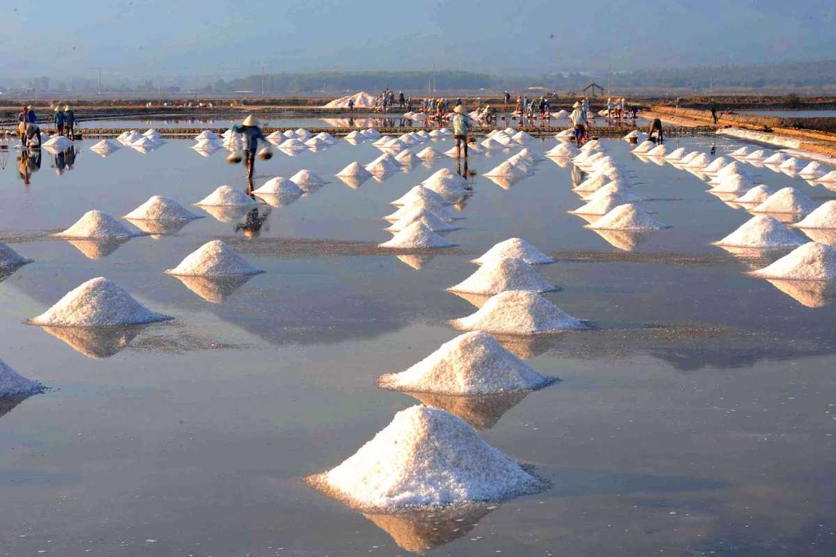 Salt Mounds Formed at Hon Khoi Salt Fields Neatly arranged white salt mounds drying under the sun at Hon Khoi Salt Fields near Nha Trang.