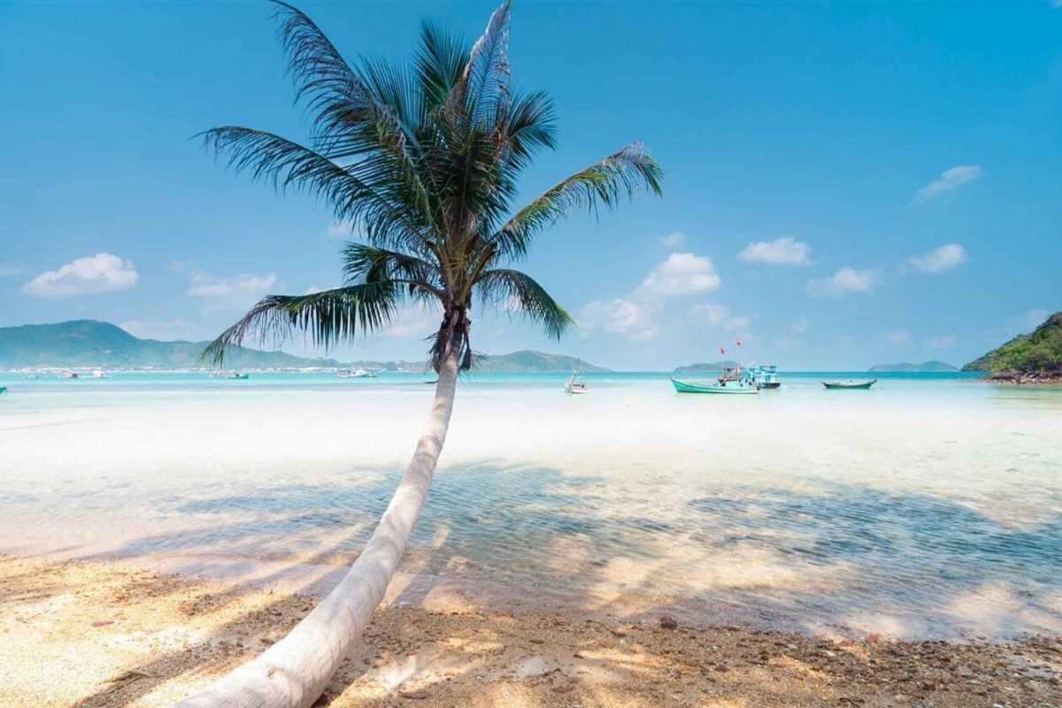 Sao Beach Phu Quoc Palm Tree Beachfront Palm tree-lined beachfront along the white sands of Sao Beach Phu Quoc